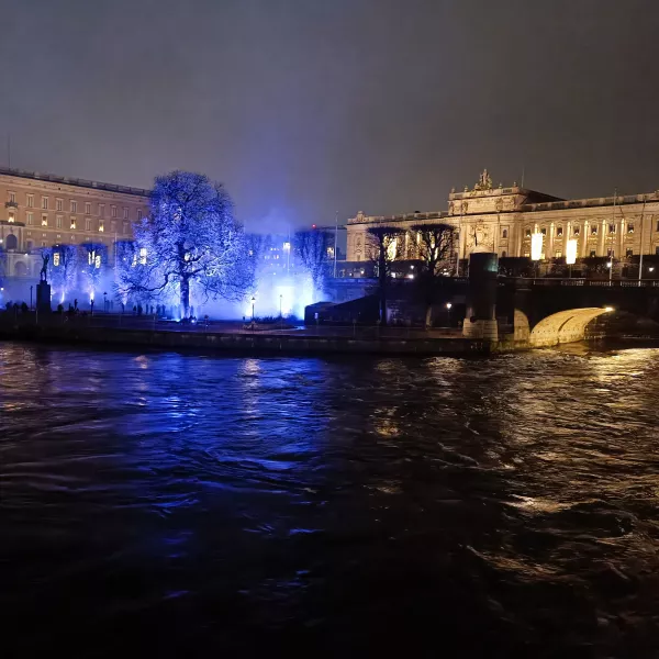Picture of light festival in Stockholm
