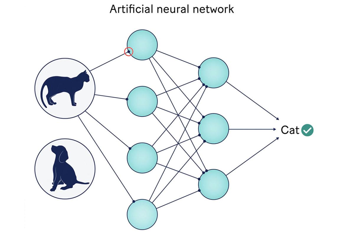 neural network