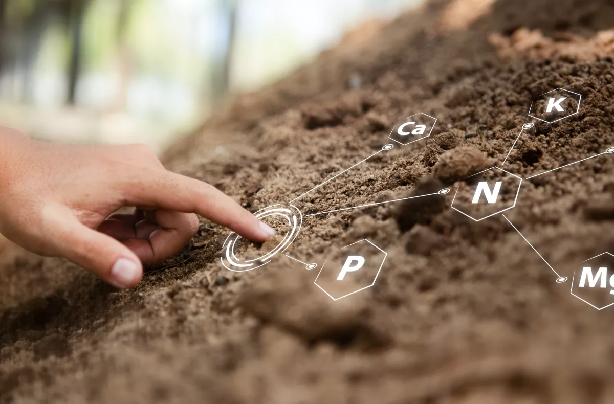 Symbolic image of soil overlaid with nutrient elements 