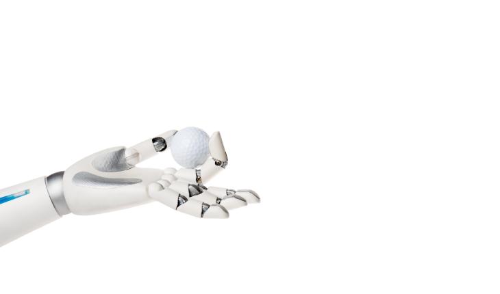 Robot holding a ball